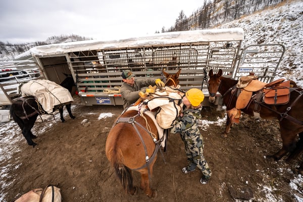 DSC00159-600x400-bf06395