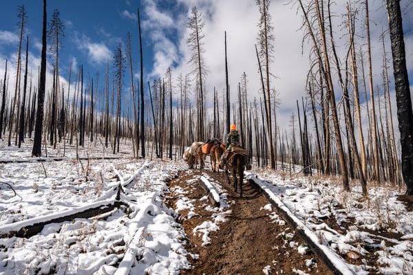 DSC00187-600x400-bf06395