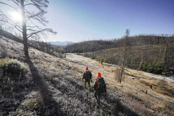 DSC01410-600x400-bf06395