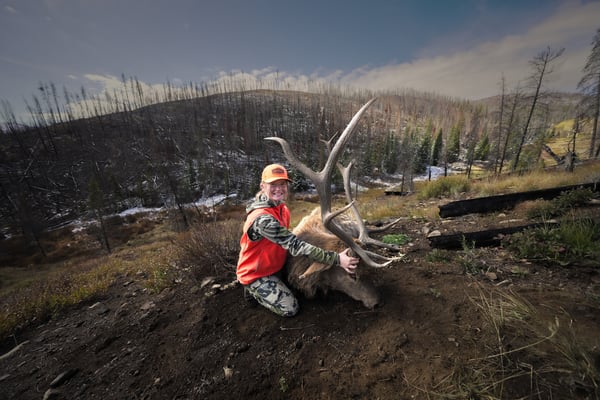 DSC01482-1200x800-5b2df79-1