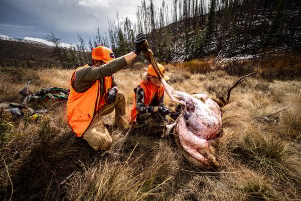 DSC01646-600x400-bf06395