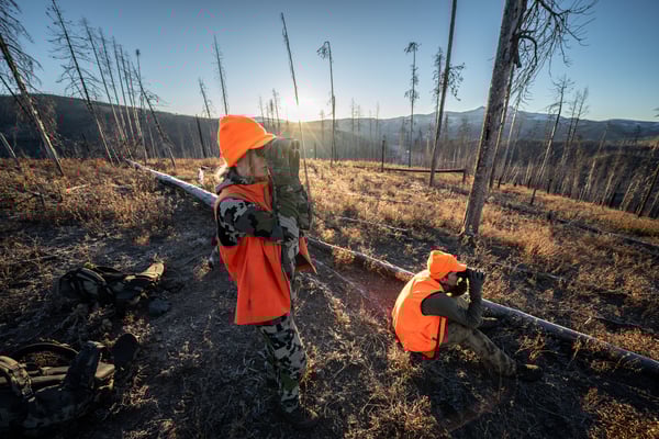 DSC02204-600x400-bf06395