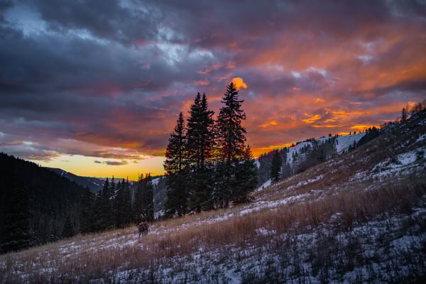 EDSC00567-600x400-bf06395