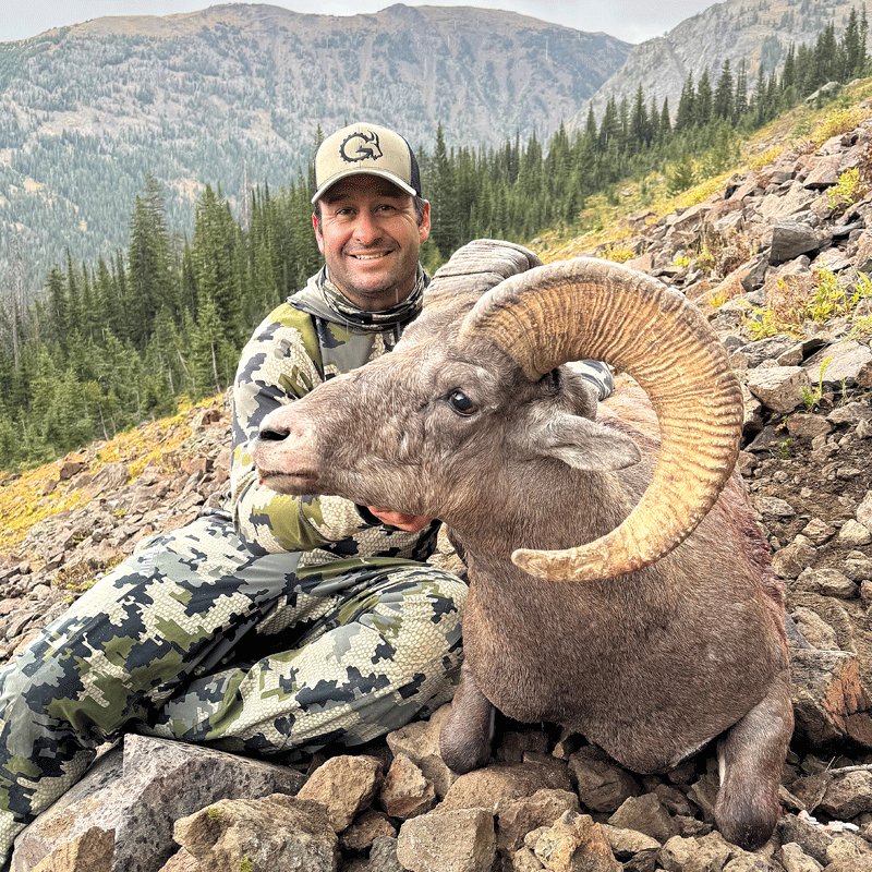 Montana-Unlimited-Bighorn-Sheep-1