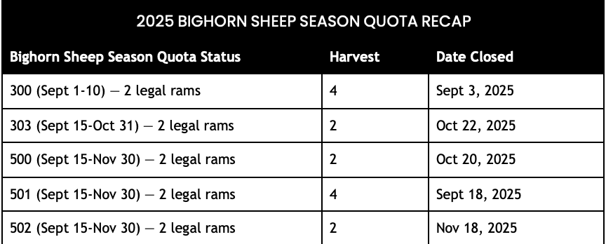 2025 Bighorn Sheep Season Quota Recap