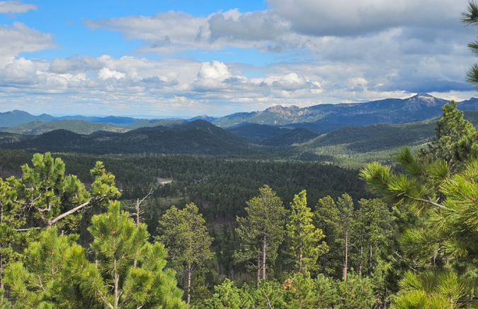South Dakota Hunting