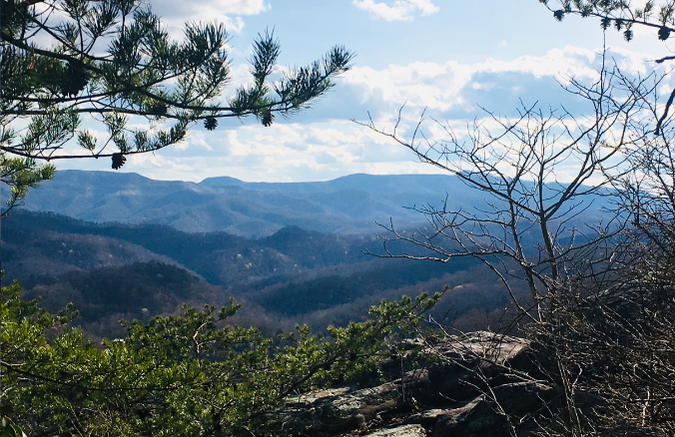 Kentucky Elk Hunting