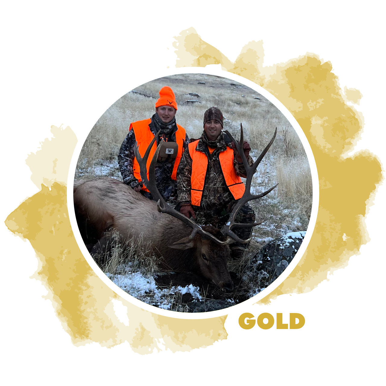2026 Montana Lodge-Based Rifle Elk Hunt for 2