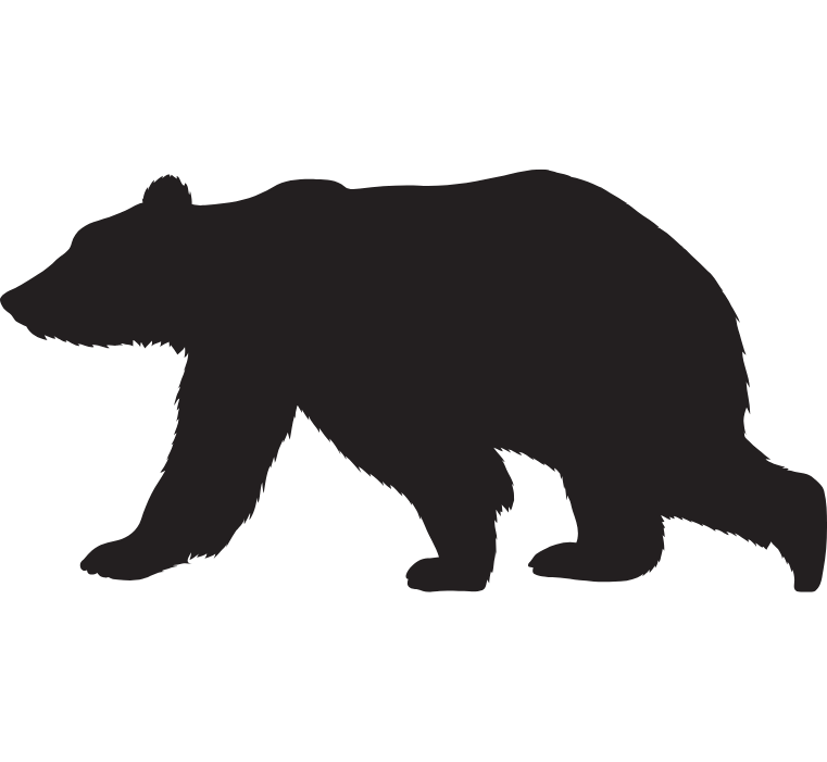 Colorado Bear