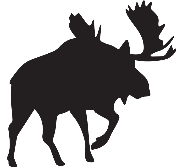 Colorado Moose