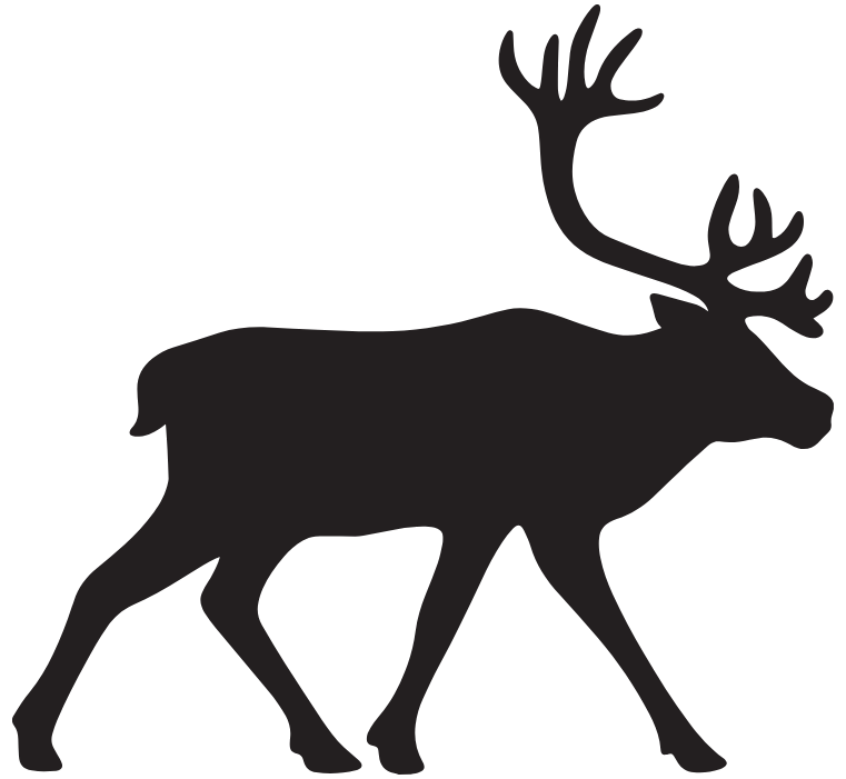 Alaska Caribou