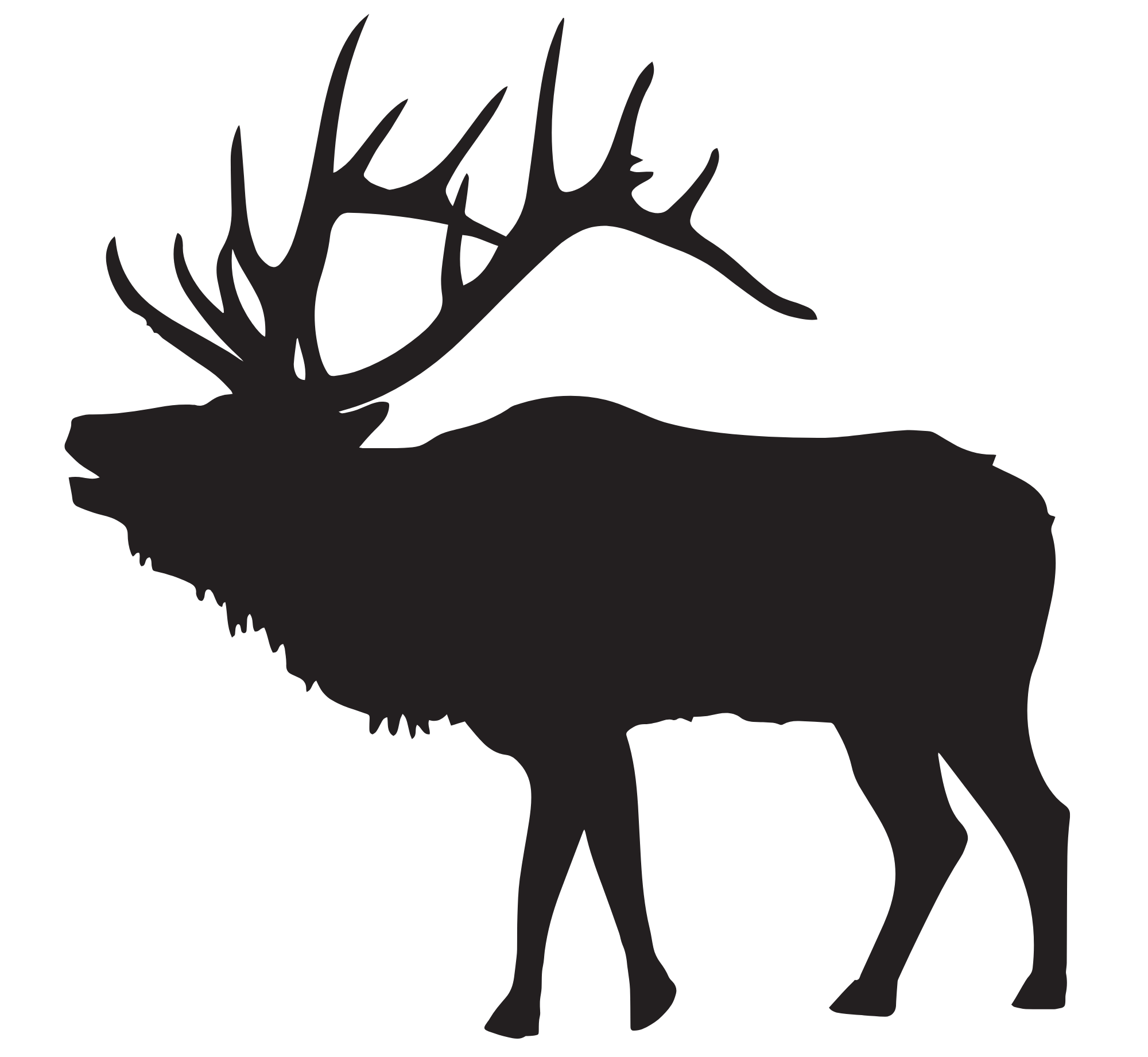 Colorado Elk