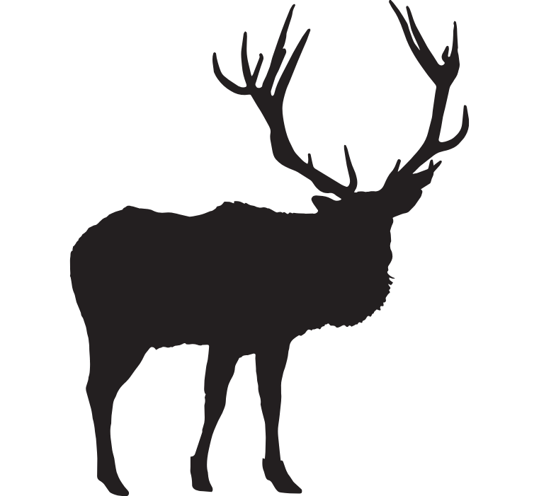 Elk